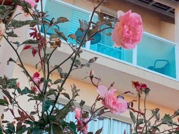 Casa de 150m² com 3 quartos no condomínio Villa D'este em Cotia - CA0484