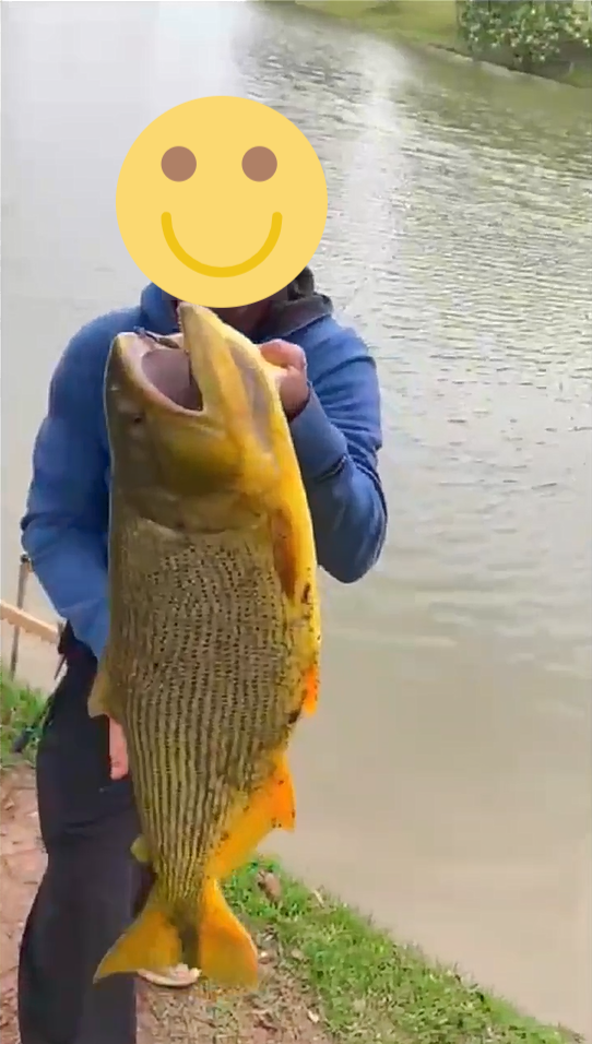 pessoas segurando peixe que pescou no Condomínio Terras de Santa Adélia – Vargem Grande Paulista SP pessoas segurando peixe que pescou no Condomínio Terras de Santa Adélia - Vargem Grande Paulista SP