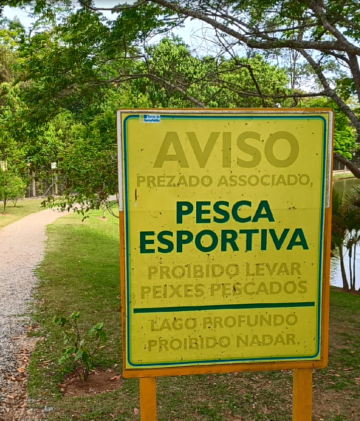 Captura de tela 2025-06-17 163342